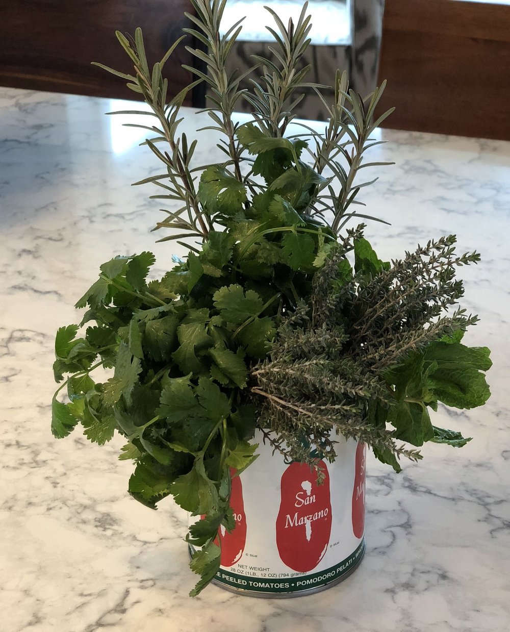 Fresh Herbs for the kitchen