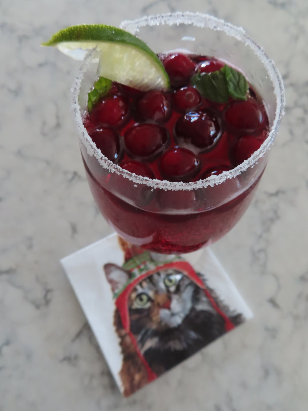 Holiday Christmas spritzer cranberries prosecco vodka mint